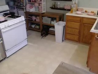 Webcam Belle - constantcumquest brunette cam girl with big tits gets her pussy fucked from behind