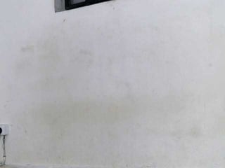 Webcam Belle - hemreyi ebony cam girl offers me her ass online